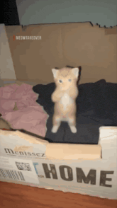 GIF na in-upload ni Mariam