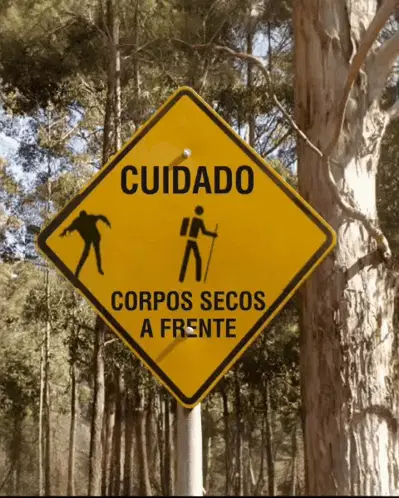 Corpos Secos Mortos Vivos