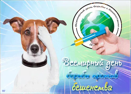день собака