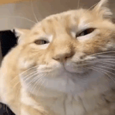 GIF uploaded by Jordan