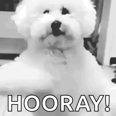 Dog Dancing
