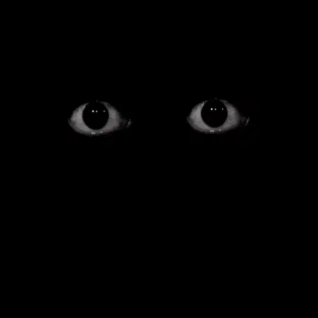 Dark Eyes – dark memes meme GIF free download no watermark 2026