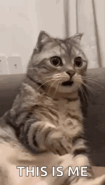 Shocked Surprised