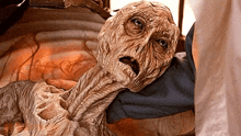 GIF uploaded by Joshua
