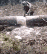 GIF