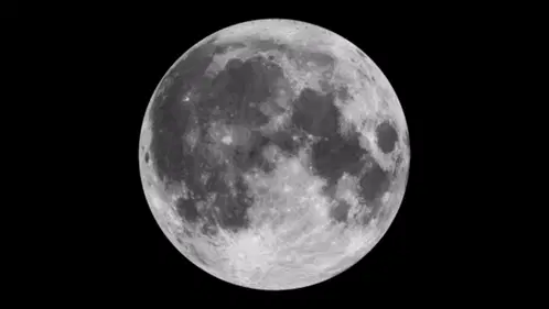 Moonlight Moonwalk