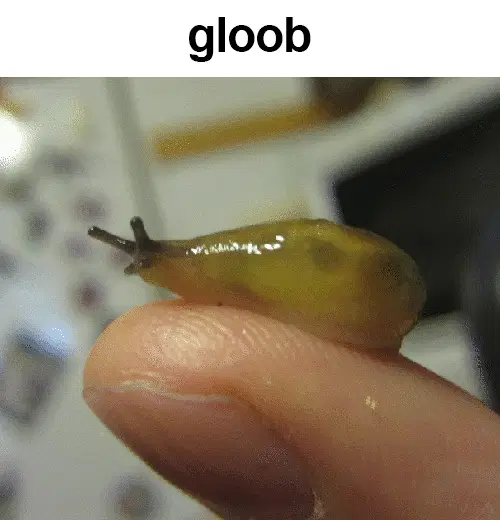 gloob