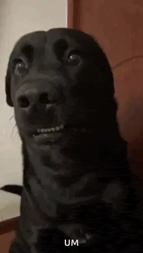 Um