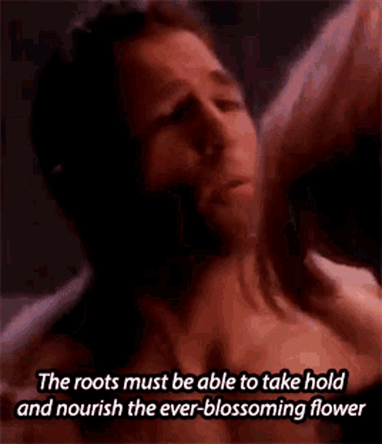 Lexx Root