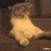 GIF
