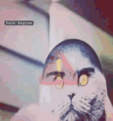 GIF