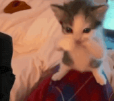 GIF May tərəfindən yükləndi