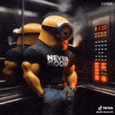 GIF