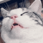 GIF oplaad troch Marcus