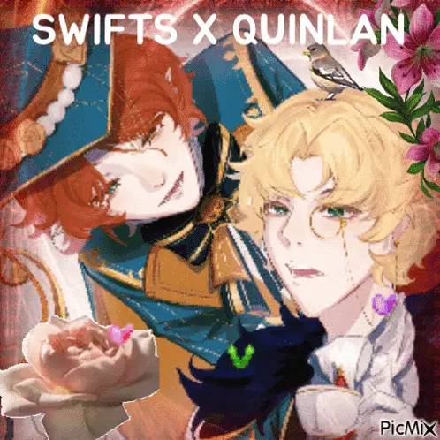 Mr Swifts Quinlan Duncan