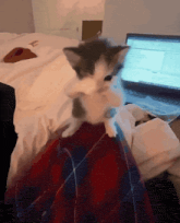 GIF uploaded by ReadBioBruuH