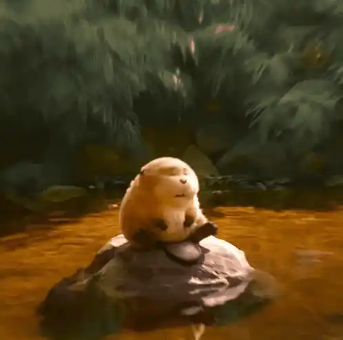 Hoppers Beaver