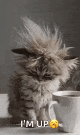 GIF i tukuna ake e Haru