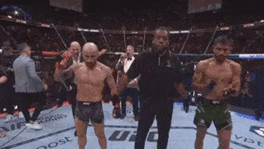 Volkanovski Ufc