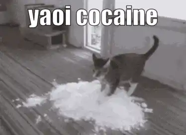 Yaoi Cocaine