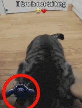 GIF