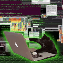 GIF augšupielādēja M Jay