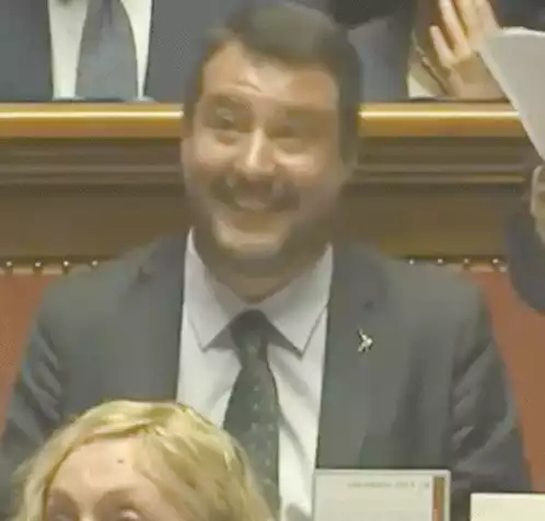 Salvini Ensomma