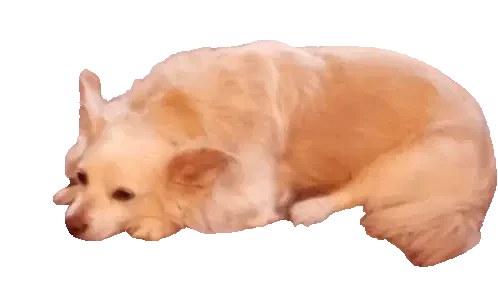 Henry Png Henry The Dog Sticker