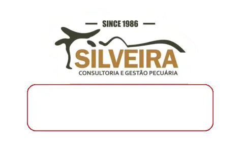 Bqdd Aovivo Silveira Ao Vivo Sticker