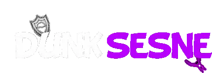 Dunk Sense Logo Sticker