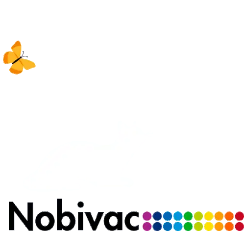 Vacina Nobivac Sticker
