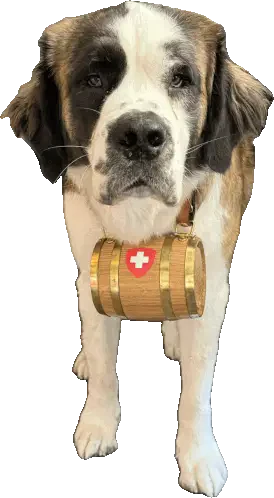 Dog Saint Bernard Sticker