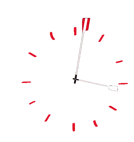 Rowingat Aviron Sticker