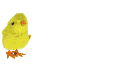 Pintinho Pula Pula União Sticker