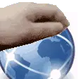 Pet Www Sticker