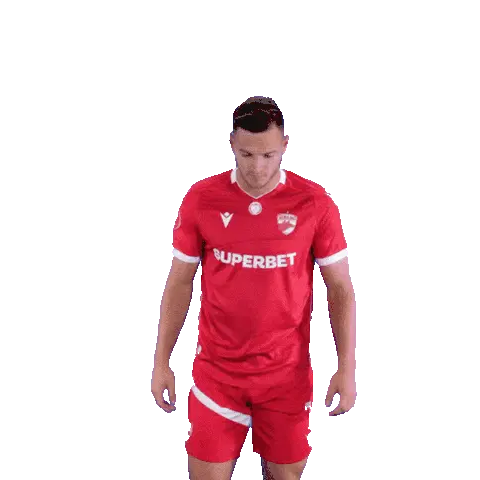 Dinamo Bucharest Denis Politic Sticker