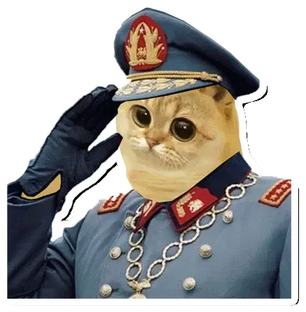 Catcoin Cat Meme Sticker