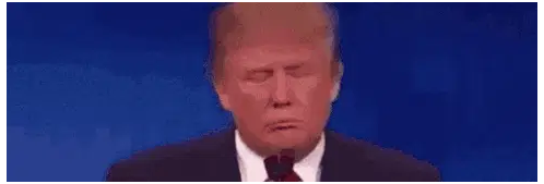 Trump Donald Trump Sticker
