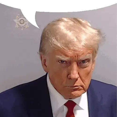 Trump Donald Trump Sticker