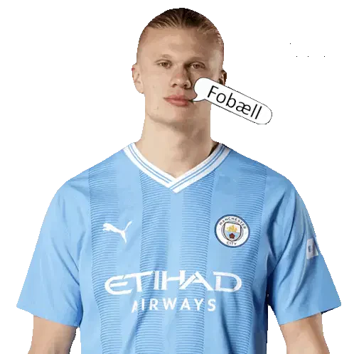 Haaland Sticker