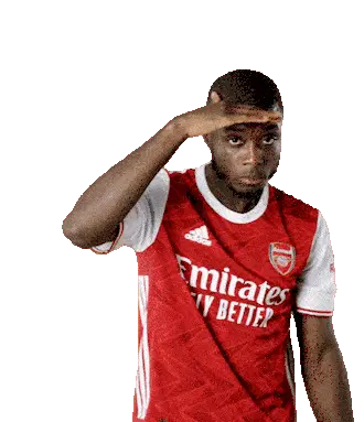 Pepe Nico Sticker