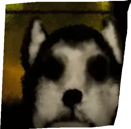 A Dog Is Verysad Sticker