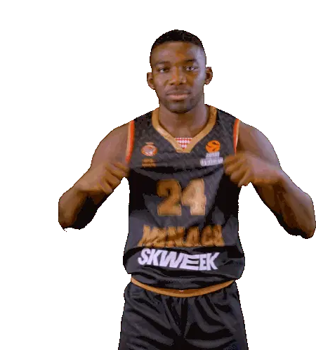 Roca Team Monaco Basket Sticker