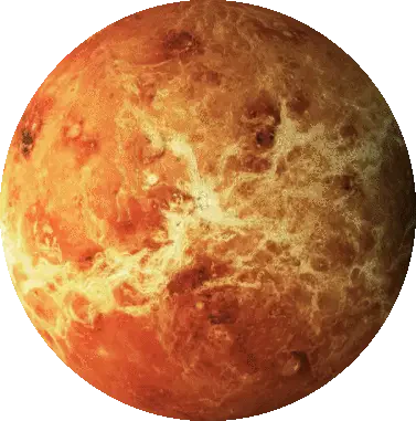 Venus Sticker