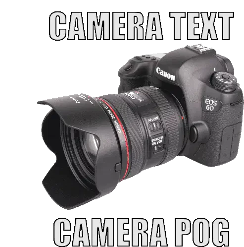 Transparentcampog Sticker