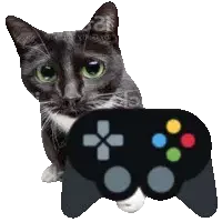 Cat Gaming Sticker