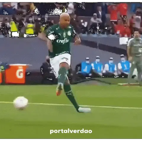 Palmeiras Psg Sticker