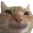 Eu Rindo Da Desgraça Da Pessoa Sticker