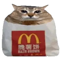Mcdonald-cat-hash Sticker