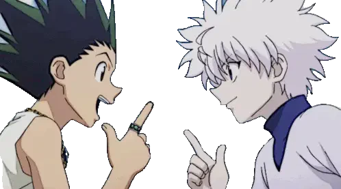Hunter X Hunter Sticker